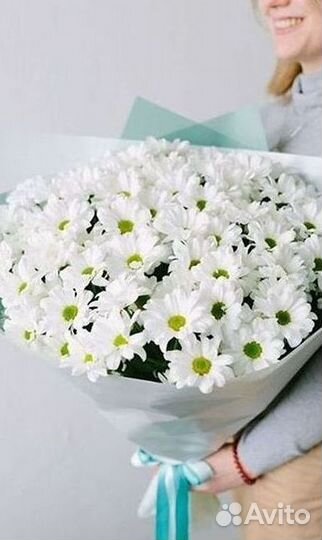 Хризантема Доставка цветов Букеты