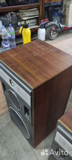 Акустику Вега 25ас109-1