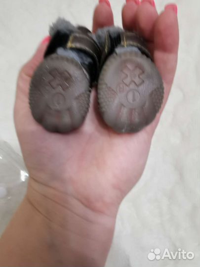 Обувь для маленьких собак