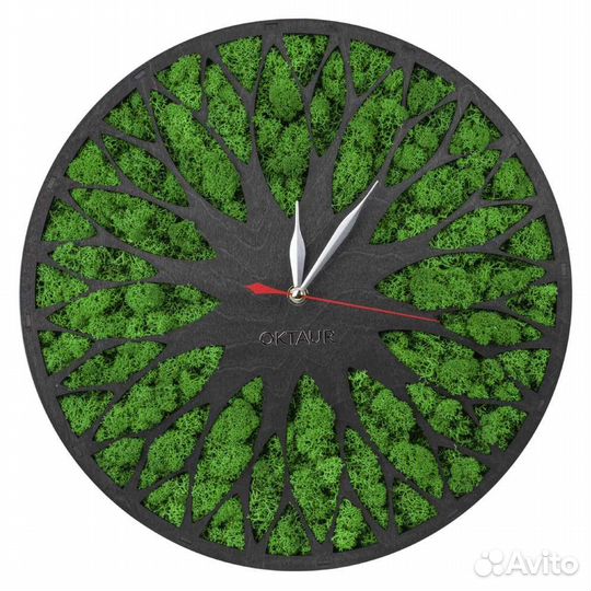 Часы со стабилизированным мхом
