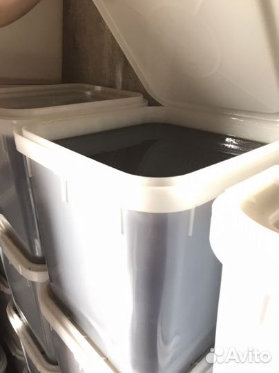 Алтайский Мед гречишный оптом и в розницу