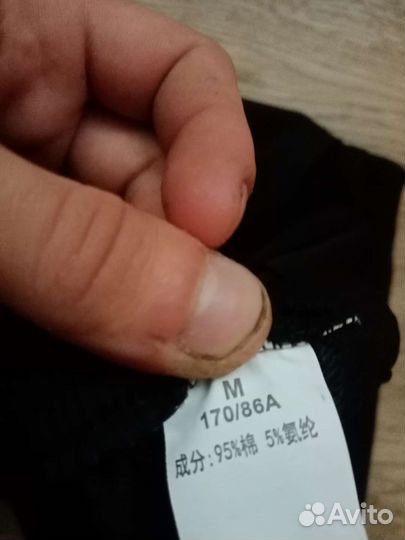 Спортивные штаны TNF