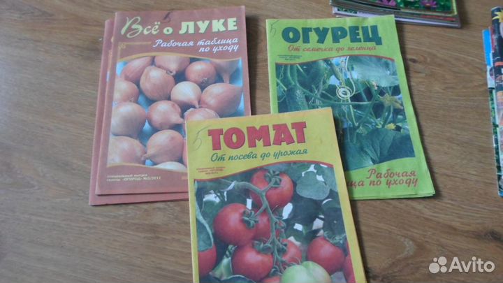 Комнатные растения,виноград,витамины