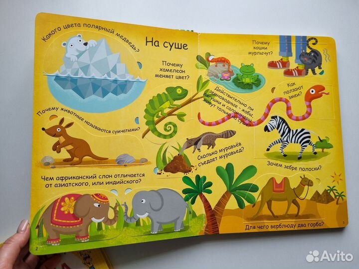 Детские книги с окошками, изд.Робинс