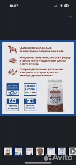 Сухой корм для собак мини