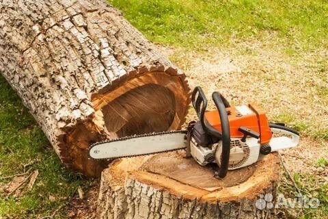 Спил деревьев/Расчистка учасклв