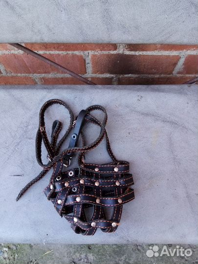 Все для собаки