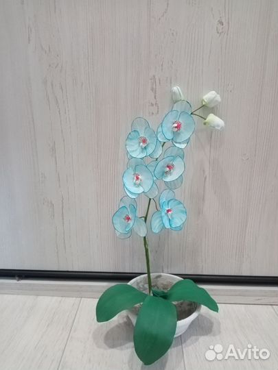 Декоративные цветы