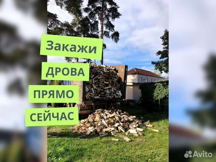 Дрова Качественные