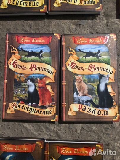 Книги циклы коты воители