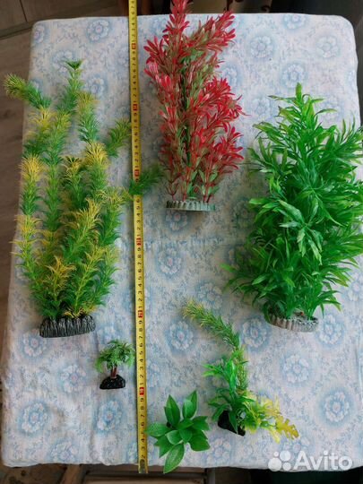 Сомик,светильник на 100л.акву