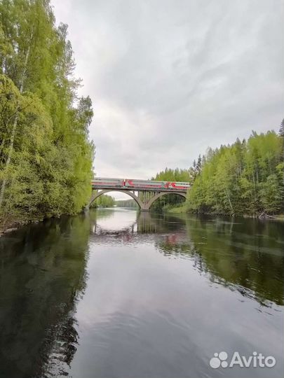 Гид экскурсовод