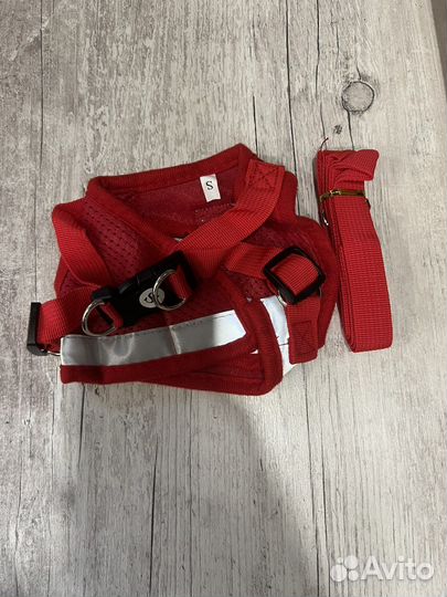 Шлейки с поводком