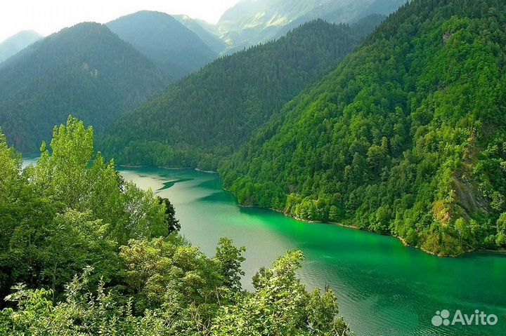 Тур путевка в Абхазию 7 нч завтрак