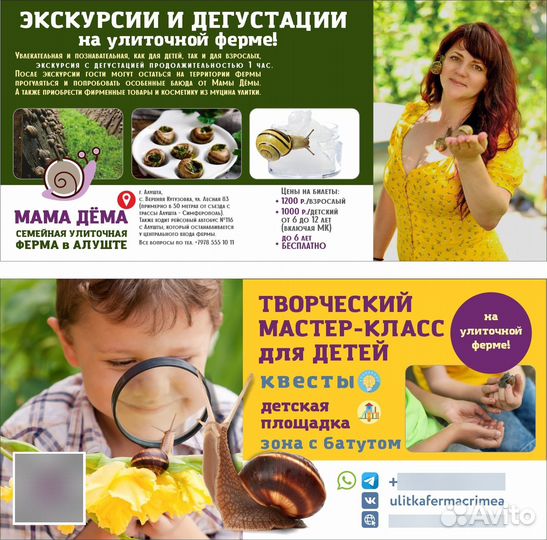 Дизайн рекламы / полиграфии