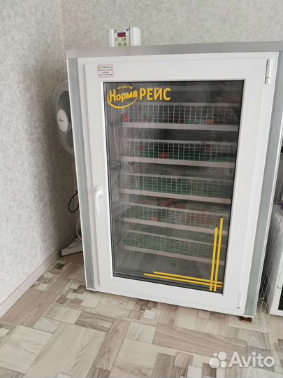 Инкубатор норма рейс на 625 яиц