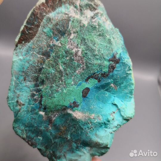 Хризаколла, США