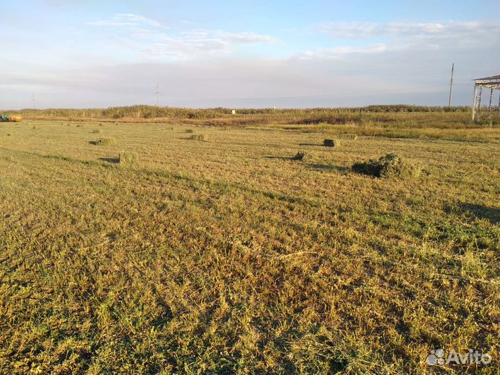 Сено в тюках с доставкой