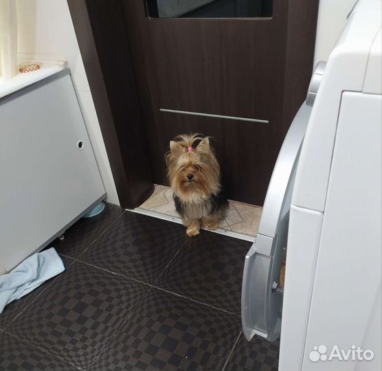 Мальчик для вязок