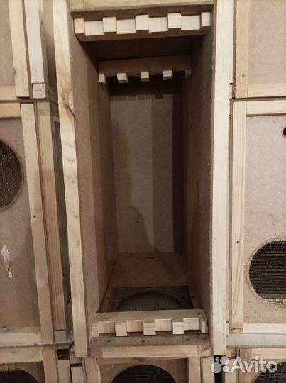 Ловушки-пчелопакеты для пчёл