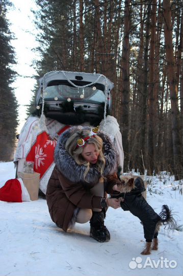 Услуги фотографа