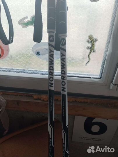 Беговые лыжи