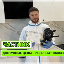 Уничтожение тараканов клопов дезинфекция