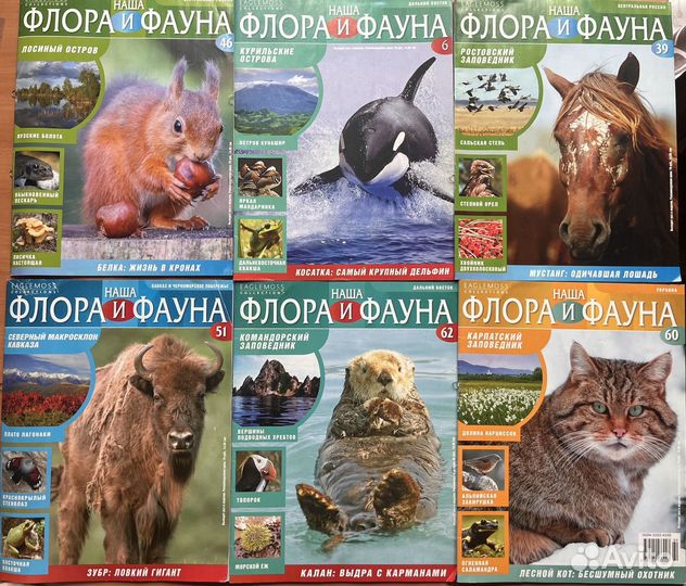 Наша флора и фауна Журнал