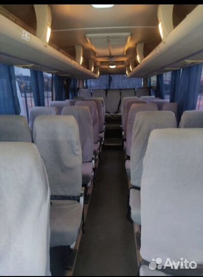 Микроавтобусы-Автобусы 15,17,18, 30,34 места