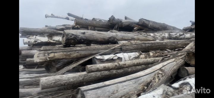Коряги пни ветки спилы кругляк