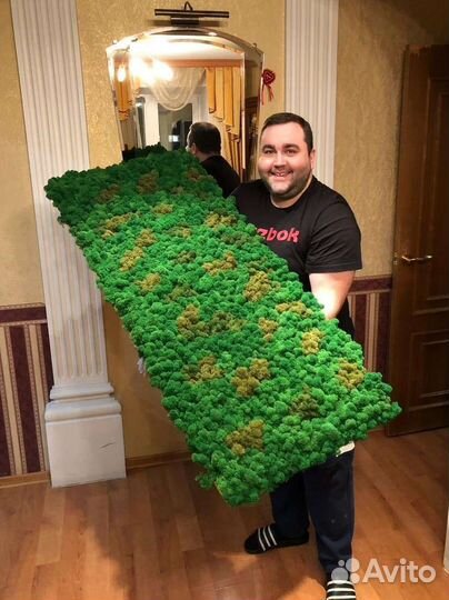 Стабилизированный мох, фито-стены