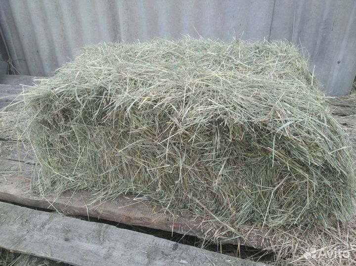 Сено в тюках свежее