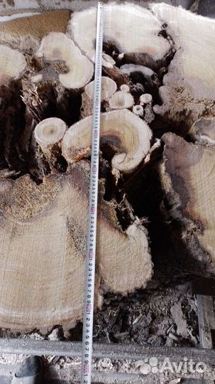 Поперечные спилы