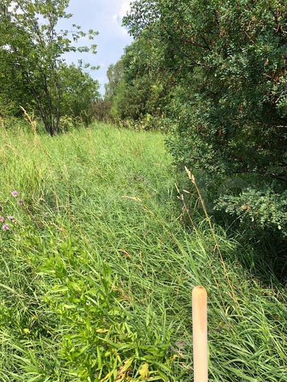 Участок 15 сот. (СНТ, ДНП)