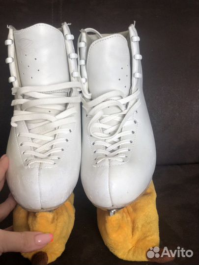 Коньки Edea chorus 235