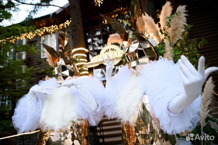 Зеркальные люди. Шоу программы