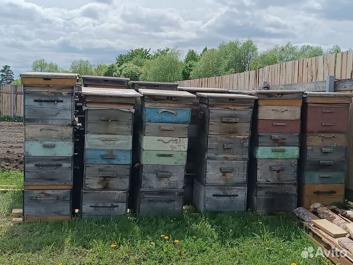 Ульи дадан для пчёл б/у
