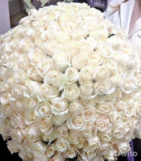 Высокие Высокие розы Гигантские розы Букеты Достав