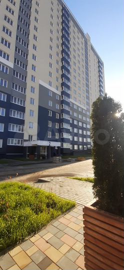1-к. квартира, 33,7 м², 1/18 эт.