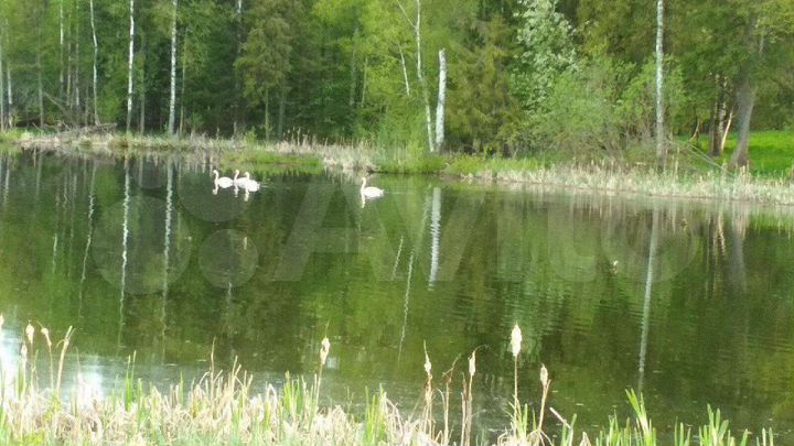 Дом 25 м² на участке 47,7 сот.