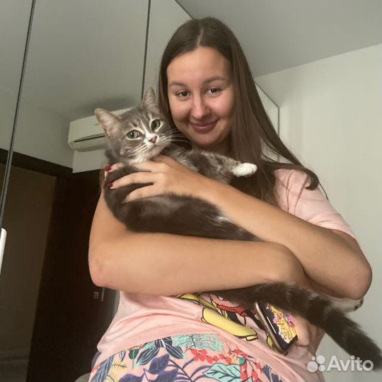 Передержка кошек и собак в 3х комнатной квартире