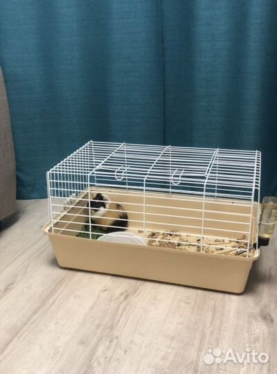 Клетки новые большой выбор