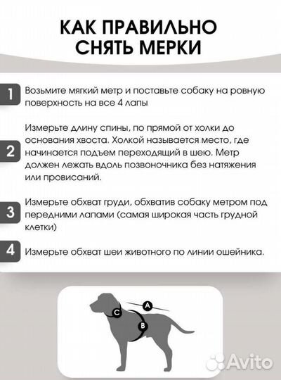 Одежда, комбинезон, дождевик для собаки