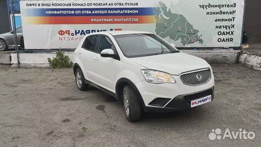 Блок управления двигателем Ssang Yong Actyon New 1