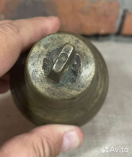 Колокольчик дужный