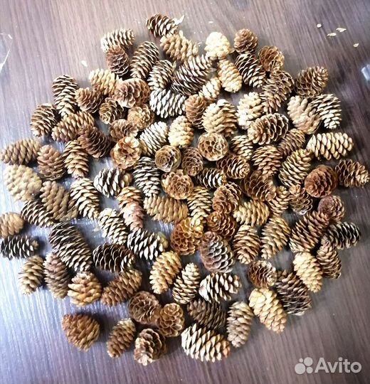 Набор для флориста