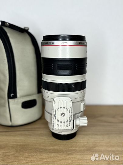 Canon EF 100-400mm f/4-5.6L IS USM