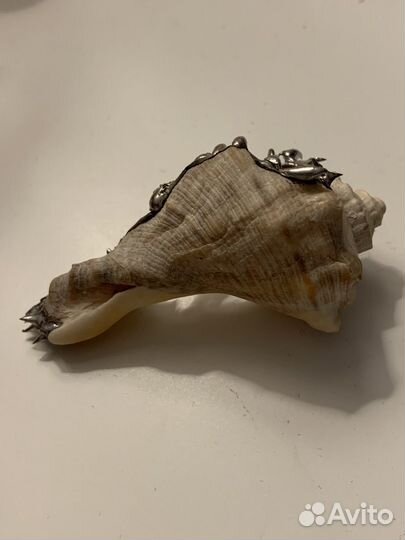 Готическая ракушка