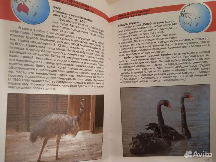 Энциклопедия 2 книги