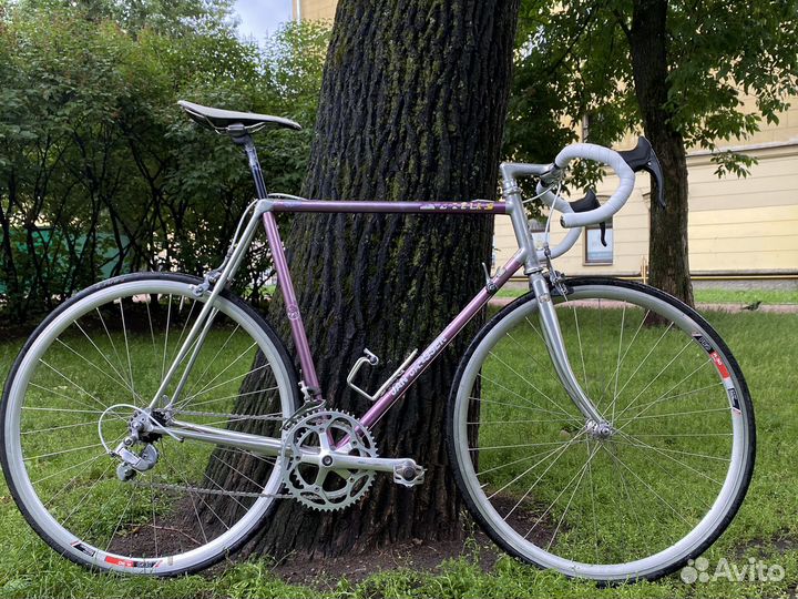 Jan Jannsen Vitus 979